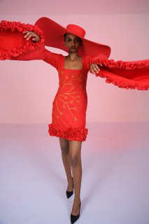 Women's Embroidered Dress